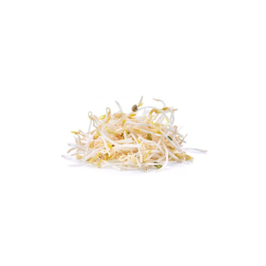 Sprouts - Beanshoots 250g punnet