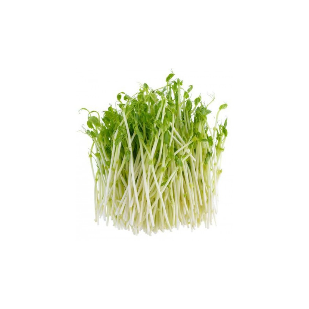 Sprouts - Snowpea 100g punnet