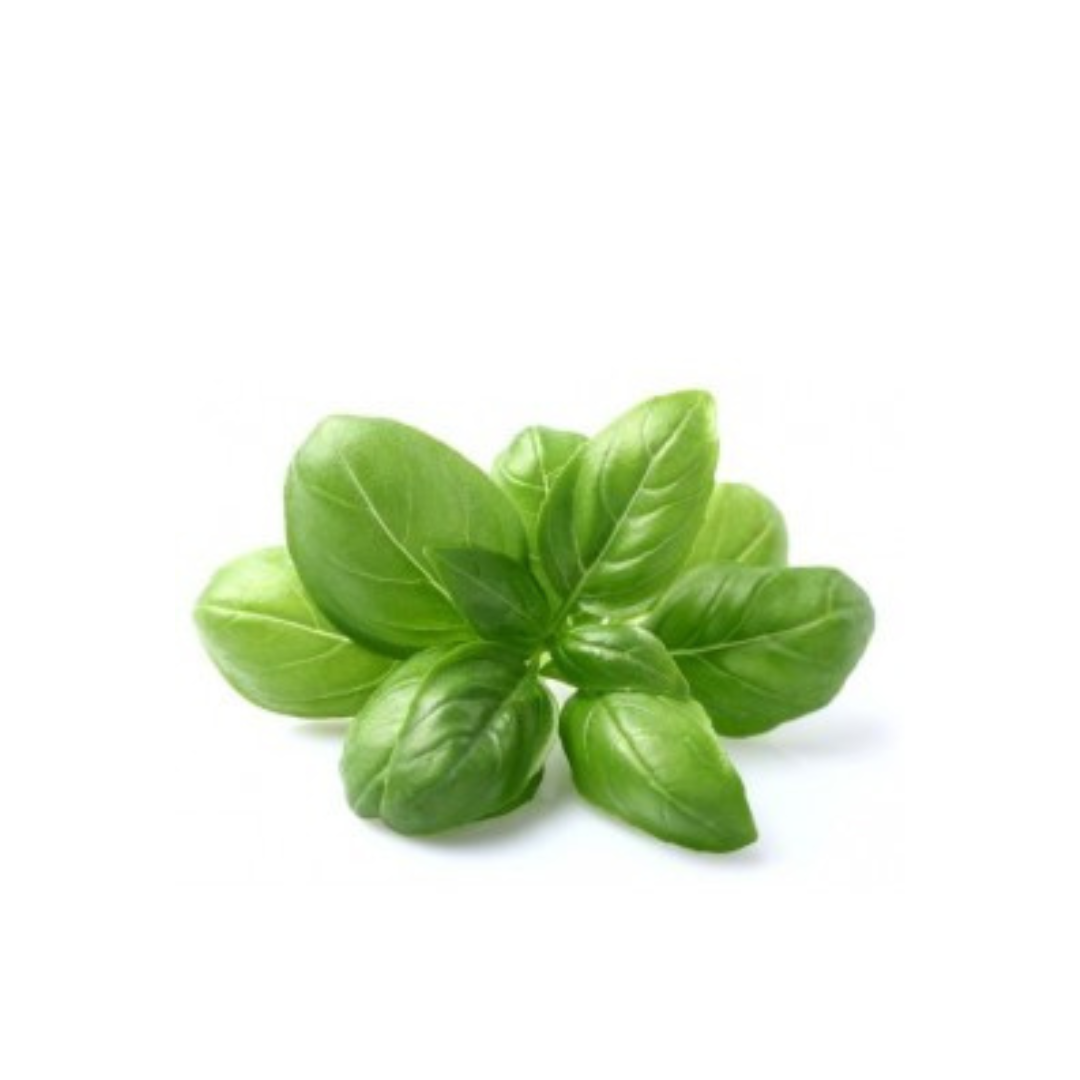 Herb - Basil bunch