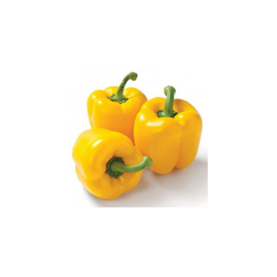 Capsicum - Yellow each