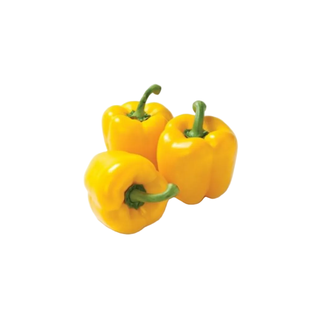 Capsicum - Yellow each
