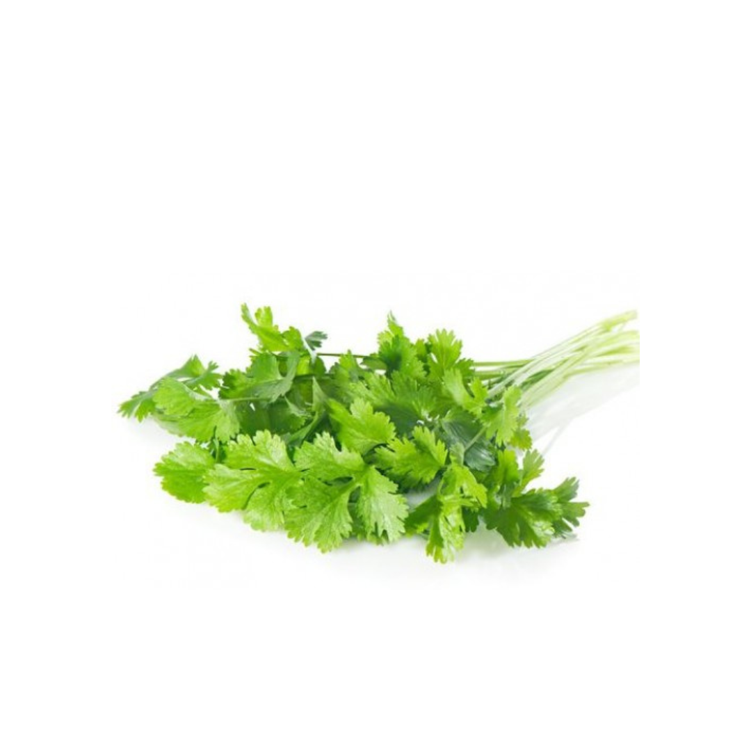 Herb - Coriander bunch