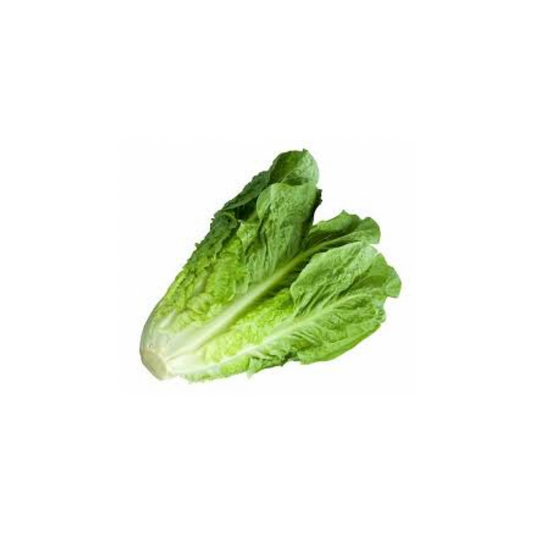 Lettuce - Whole Cos