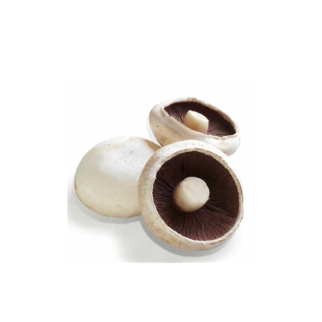 Mushroom - Flat 375g punn