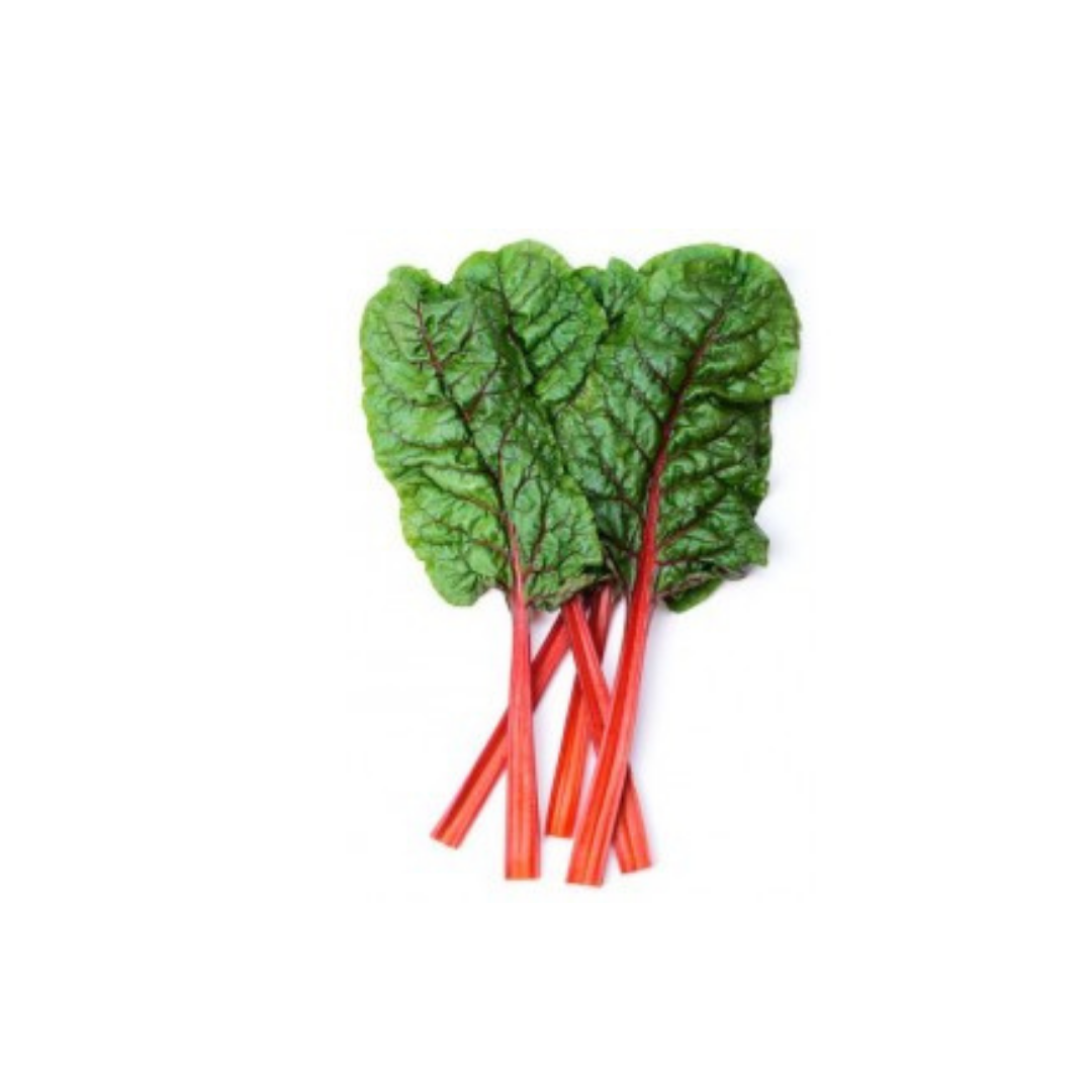 Rhubarb bunch