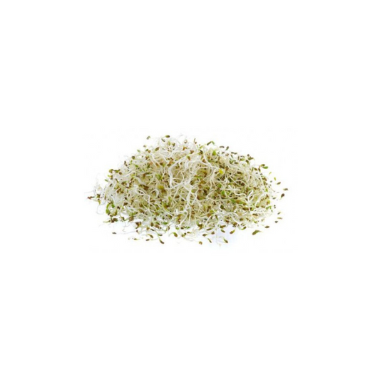 Sprouts - Alfalfa Green 125g punnet