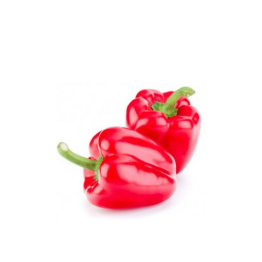 Capsicum - Red each