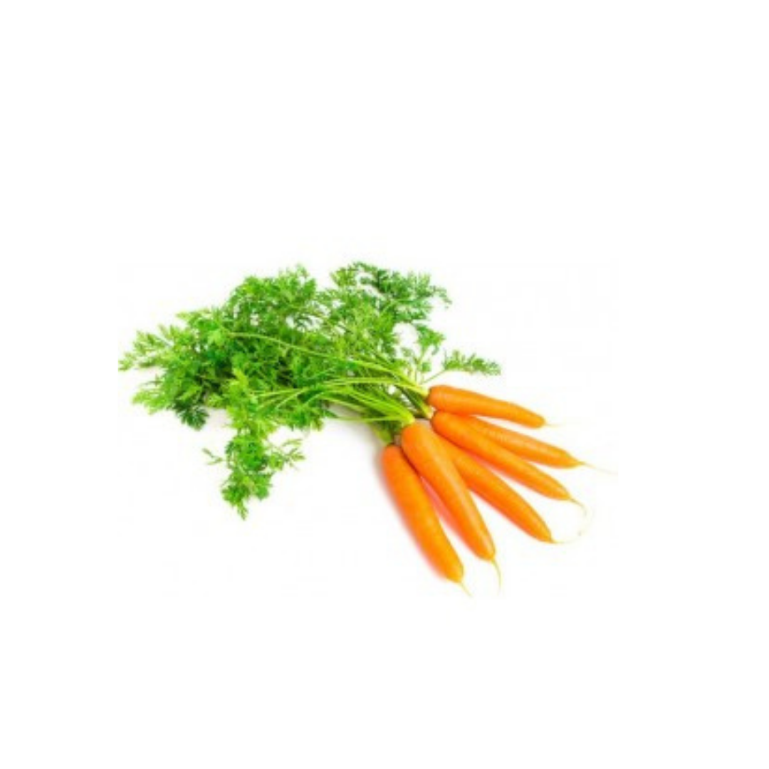 Carrots - Dutch bunch