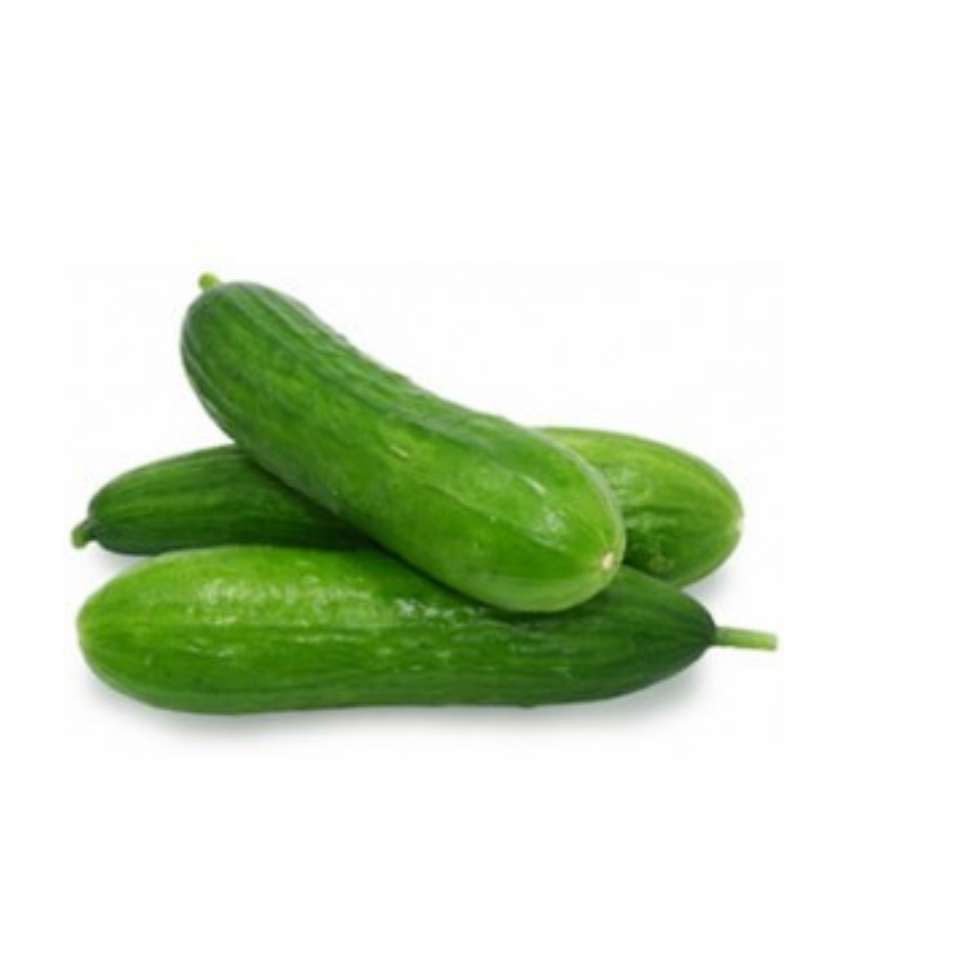 Cucumber - Lebanese each – NuFruit Online