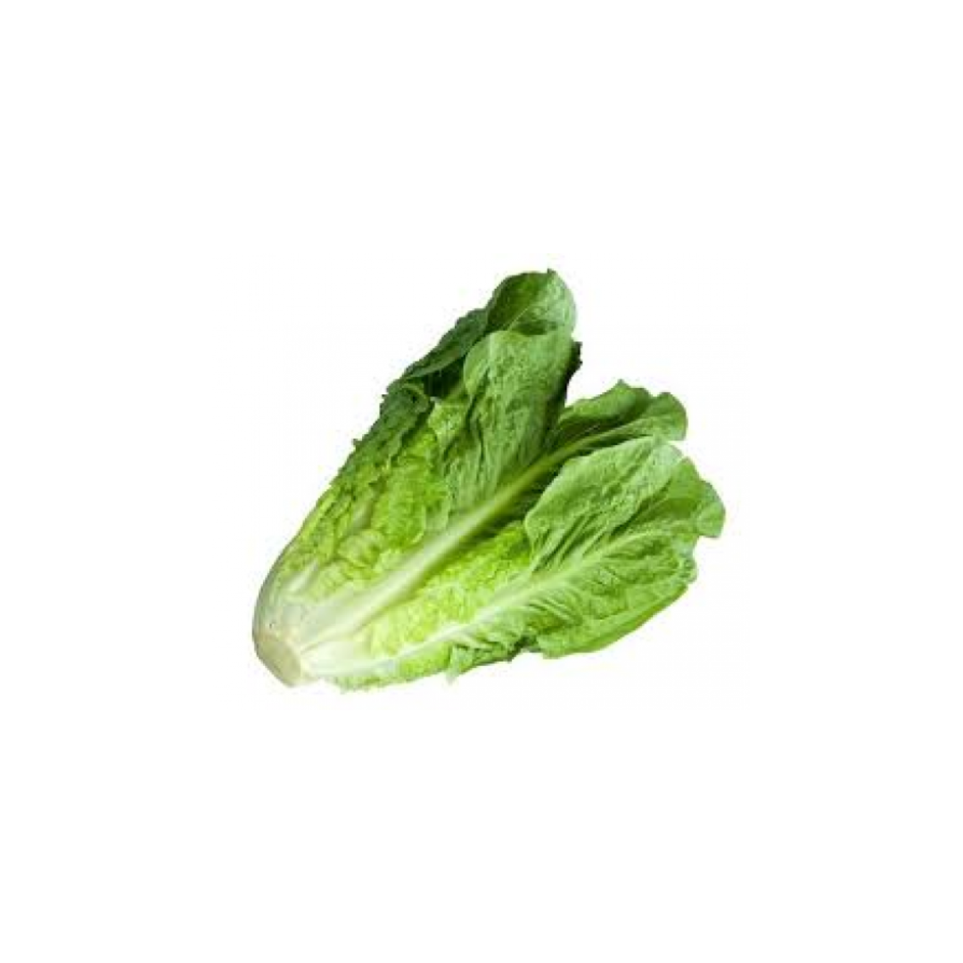 Lettuce - Whole Cos