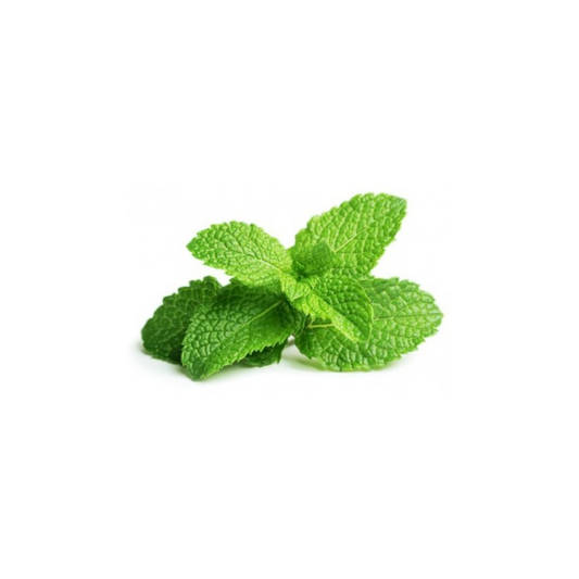 Herb - Mint bunch