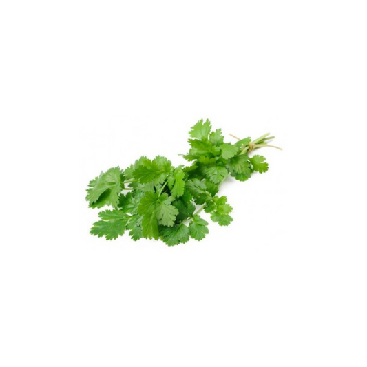 Herb - Parsley Continental (Flat leaf) bunch