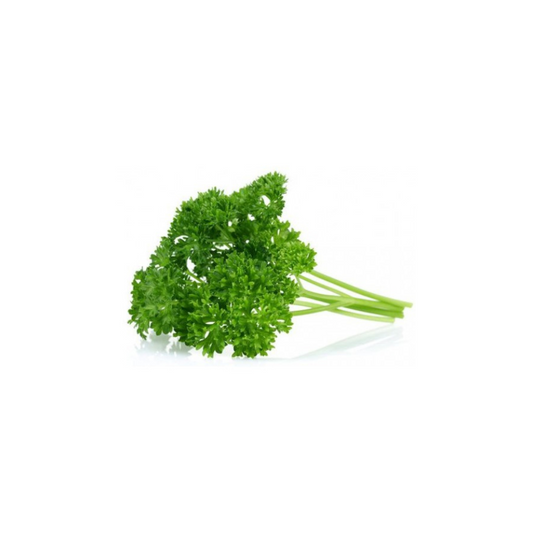 Herb - Parsley Curly bunch